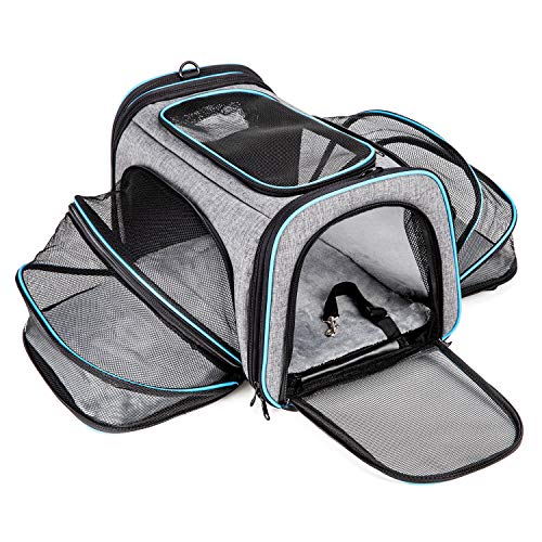 katzenboxxxl.de BERTASCHE Tragetasche für Katze Hund Transporttasche