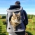 Fat Cat Cat Backpack - Katzenrucksack for Katzen - 8