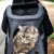 Fat Cat Katze Rucksack Carrier Rucksack – Cat für Katzen von - 5
