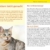 Katzen Clicker-Box gelb 12 x 3,5 cm: Plus Clicker für sofortigen Spielspaß (GU Tier-Box) - 17