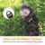 rabbitgoo Katzengeschirr Leine Set für Spaziergänge ausbruchsicher verstellbar weich Kätzchenweste mit reflektierendem Streifen für extra kleine Katzen, bequemes Outdoorgeschirr, schwarz M - 6