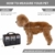 Songwin Hundetasche, Hundebox, faltbar Hundetransportbox Auto Transporttasche für Haustiere,Katzenbox,Grau (Katzentragetasche) - 4